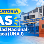 Universidad Nacional de Juliaca (UNAJ)